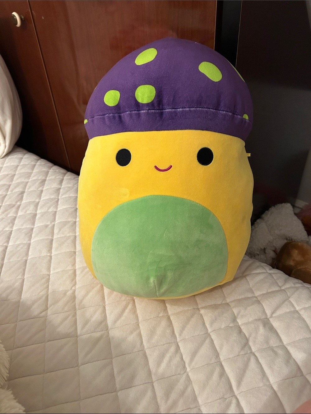 Enid mushroom Squishmallow. Jumbo Squishmallow